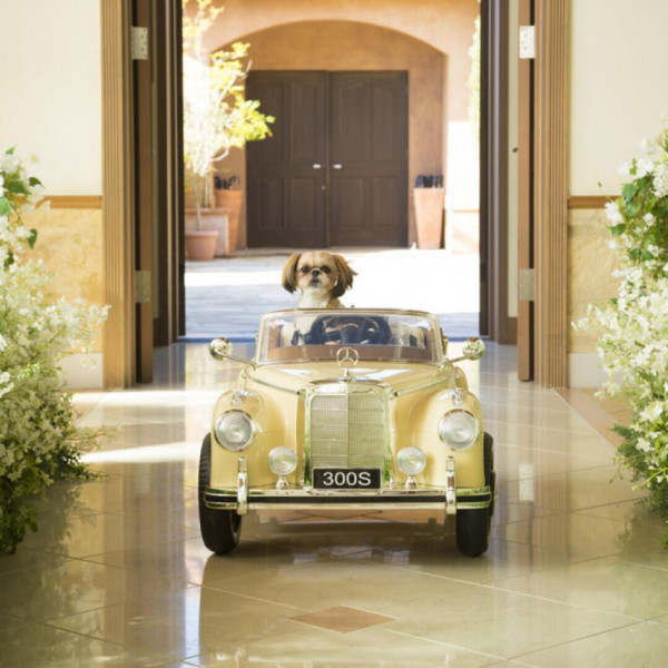 衣裳グレードアップ対応可☆
式後にご家族でのお食事対応もご相談いただけます