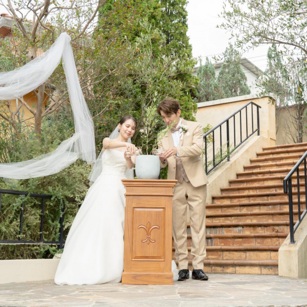 オリーブ挙式とはゲストにオリーブの鉢に土を入れていただき、挙式中におふたりが「水合わせ」を行う、心温