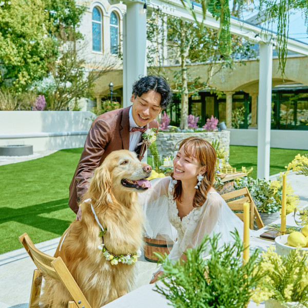 緑がいっぱいのガーデンでペットとの撮影も可能です。