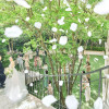赤坂 アプローズスクエア迎賓館