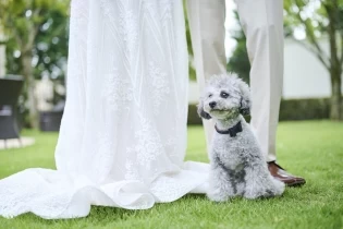 ペットと一緒の結婚式も♪|ベイサイド迎賓館(松山)/テイクアンドギヴ・ニーズウェディングの写真(33223369)