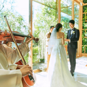 バイオリンとハープの生演奏が2人を優しく包み込む感動的な瞬間|アクアガーデン迎賓館(岡崎)の写真(3720538)