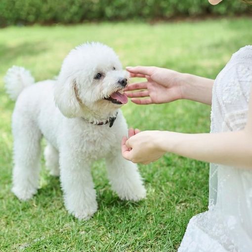 ニーズ徳島 by T&G WEDDINGの結婚式の公式写真（1枚目）