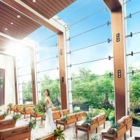 表参道TERRACE/テイクアンドギヴ・ニーズウェディング