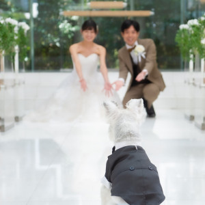 おふたり愛犬も挙式に参加することができます|ザ・プリンス パークタワー東京の写真(34593789)