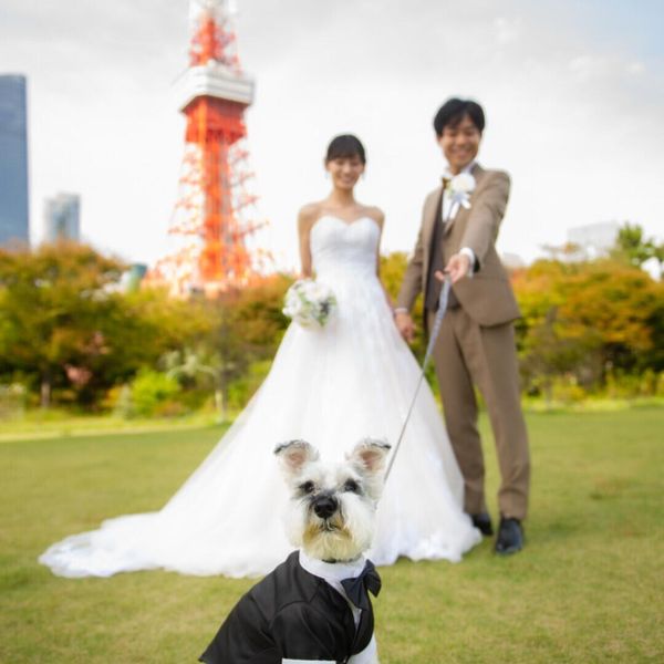 大切な愛犬も主役に！東京タワーを背景に思い出の一枚を。