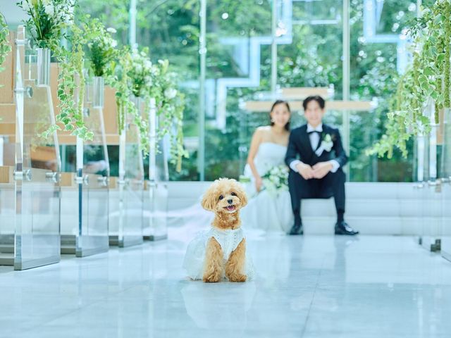 ドッグウエディングのご紹介