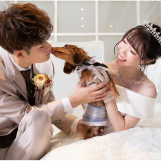 【わんこと一緒の結婚式】愛犬が喜ぶ貸切ツアー＆チャペル体験*