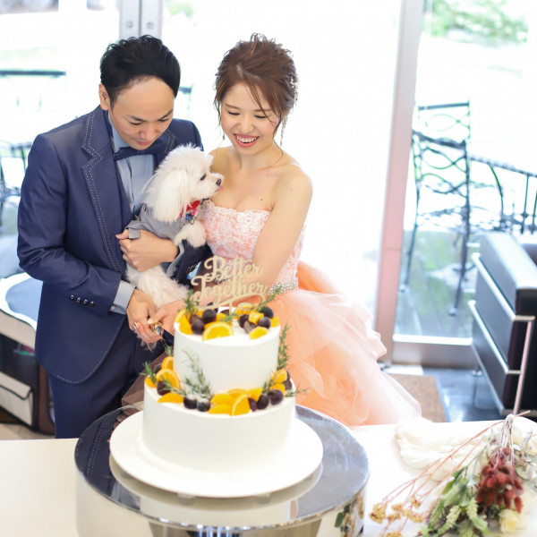 名古屋市のペットと一緒の結婚式ができる結婚式場 口コミ人気の15選 ウエディングパーク