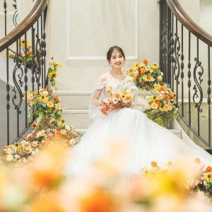 《期間限定コラボFAIR》憧れブランドドレス試着×結婚準備相談会