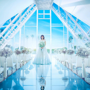 【来館8万&150万特典】都心のリゾート×黒毛和牛6品試食