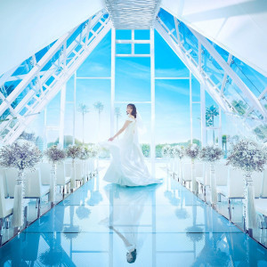 当日OK《年内BIG◆豪華特典付》海辺の絶景体験×贅沢試食×演出ALL