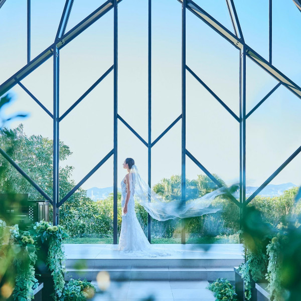 【ドレス&タキシード28万円プレゼント】お気に入りの1着で素敵なひと時を