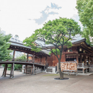 結婚式を執り行う社殿は、ご本殿と参拝する人のための拝殿が幣殿で結ばれている「権現造り」の建築様式で、日本古来の「木の文化」を象徴する純木造。|湯島天神の写真(1140863)