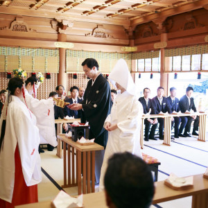 温かい陽光、凛とした空気の中、厳粛な儀式が粛々り執り行われます。|湯島天神の写真(16807295)