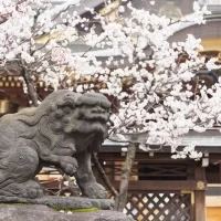 湯島天神