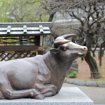 「撫で牛」自分の体の悪いところと同じ部分を撫でると、健康のご利益があると言われております|湯島天神の写真(1198581)