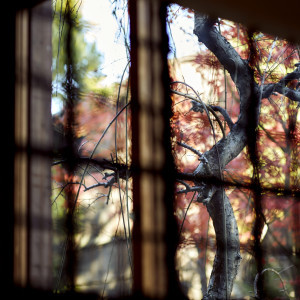 格子窓からの景色は日本の四季をいつでも感じれる|KAWACHIYA 川地家（かわちや）の写真(2196761)