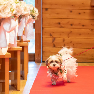 可愛いわんちゃんにも挙式のお手伝いを…
