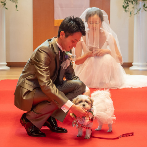 プリティチャペル大宮（エグリーズ　ドゥ　葉山庵）