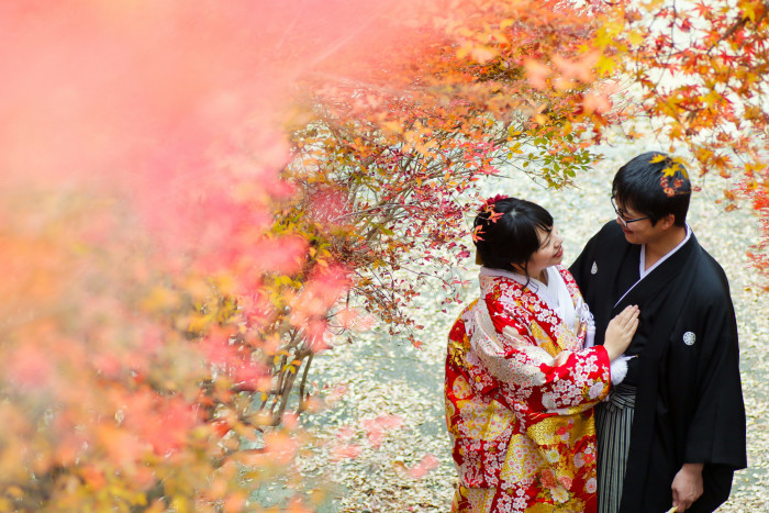 京都の紅葉ロケーションは定番！やっぱり和装が映える、素敵なお写真になること間違いなしです！