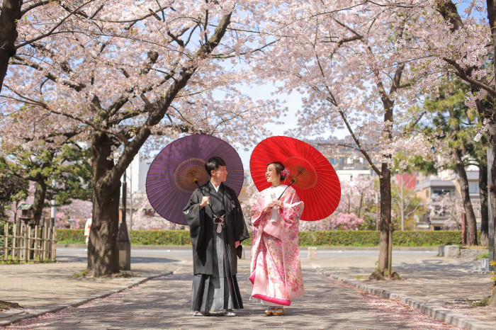 京都は桜の名所もたくさん！桜の時期のお撮影は京都らしいショットが楽しめるのでオススメです！