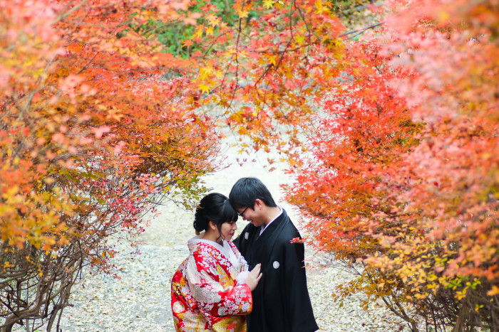 11月頃は紅葉が見頃！京都ならではのロケーションフォト！ぜひ結婚式当日のウェルカムボードに