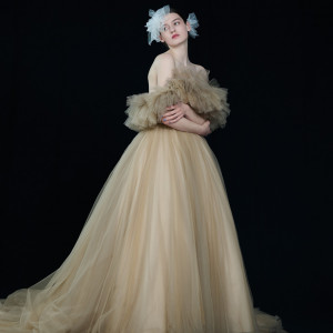 4色の絶妙な色差のベージュチュールとフラットなネックラインに細やかで直線的なドレープを施し、スタイリッシュなプリンセスラインに|ノートルダムマリノア/FIVESTAR WEDDINGの写真(54953784)