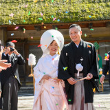 祝福の折鶴シャワー