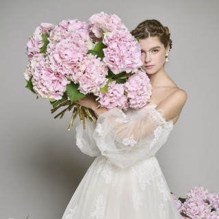 【リニューアル記念特典】神戸中の花嫁憧れのザ トリート ドレッシングのドレス20万円分プレゼント♪