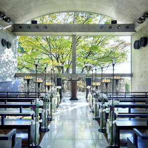 樹齢120年の欅の木が美しく輝くチャペル|ザ・ヒルサイド神戸の写真(4575585)