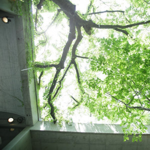 喧騒から離れた特別な空間を、プロデュース。|ザ・ヒルサイド神戸の写真(1121031)