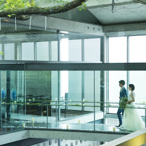 この回廊を渡ってチャペルへ。ゲストはガラス越しに見る花嫁に感動をおぼえる|ザ・ヒルサイド神戸の写真(4039668)