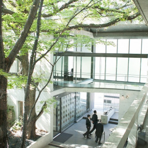 建物のセンターコートには木漏れ日が降り注ぐ温かな空間|ザ・ヒルサイド神戸の写真(4039988)
