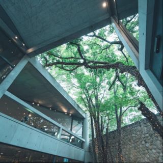 ◆平日限定 前撮り付◆安藤建築&美食コース堪能フェア
