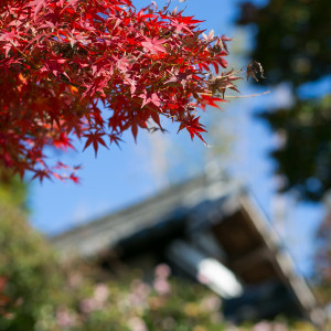 秋には紅葉が赤く染まり、おふたりの1日に彩りを加える。|EXEX GARDEN（エグゼクス・ガーデン）の写真(2211798)