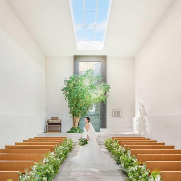 圧巻の天井高8m！"緑×光×空"天窓から自然光が降り注ぐチャペル