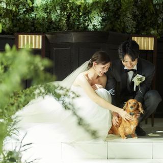 パパママ婚・和婚・ペット|豪華特典×試食×スタイル別の相談会