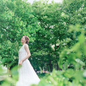 木々の鮮やかさは新婦様のドレス姿を引き立てる|フェアブルーム水戸アメイジングステージの写真(33161228)