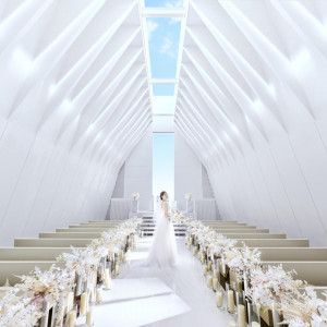 \よくばり*最大210万優待/花嫁ALL体験×ドレス体験×試食