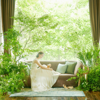 【成約特典】衣裳（61.6万円）、プロジェクションマッピング11万円、写真16.5万円プレゼント！