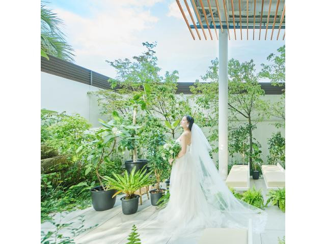 【ご来館特典】