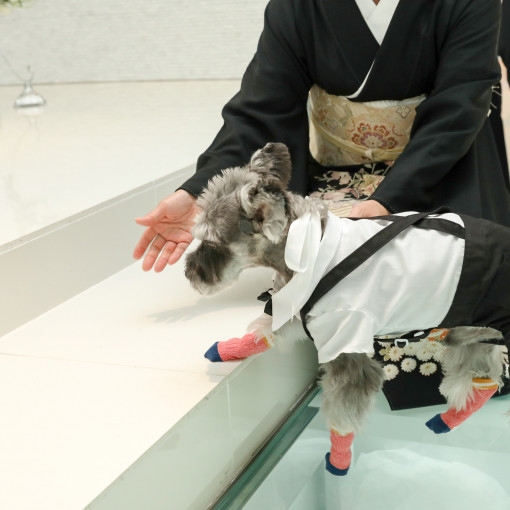 奄美の里サウスヴィラガーデン