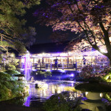 スカイツリーを手掛けた照明デザイナーによる日本庭園の照明をぜひ生でご覧ください