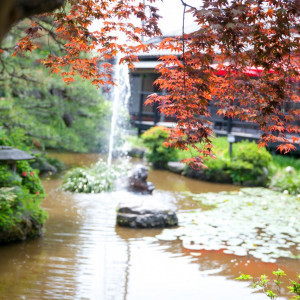 1000坪の日本庭園でゆったりとお過ごしいただけます|THE GARDEN PLACE 小林樓の写真(576684)