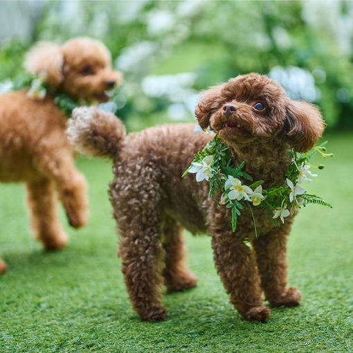 伊勢山ヒルズの結婚式の公式写真（3枚目）