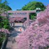 伊勢山ヒルズ
