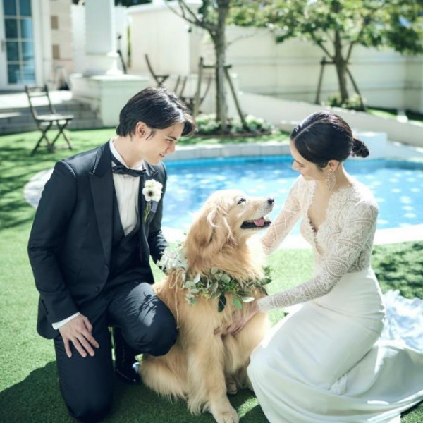 全邸宅ガーデンはワンちゃんOK