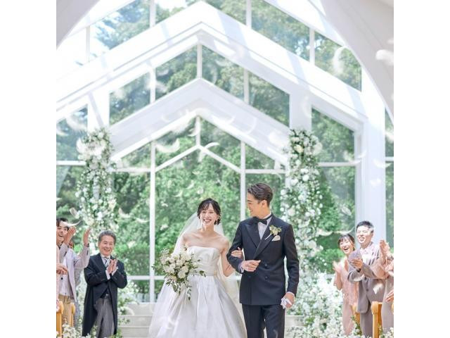 リニューアル情報