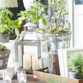 【ペット婚相談フェア】豪華15大特典×演出×貸切ウェディング体感♪